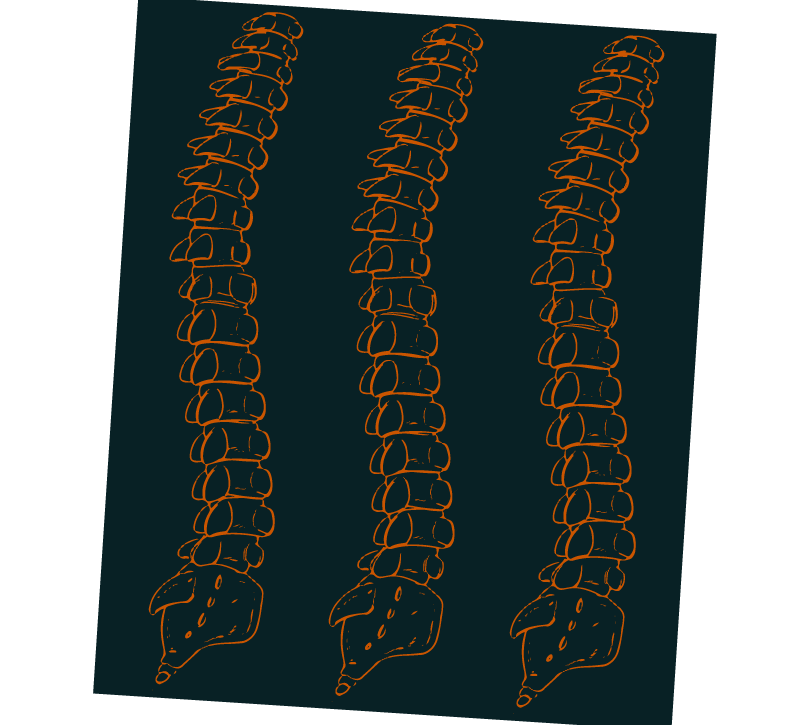 cervical