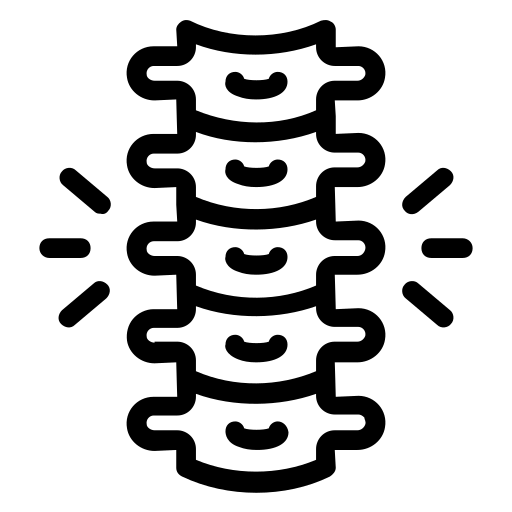 spine (1)